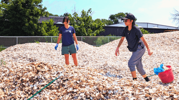 2024 夏天 SLT at Billion Oyster Project